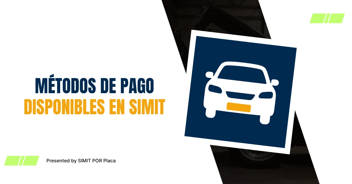 Métodos de Pago Disponibles en SIMIT